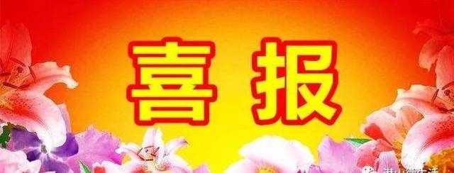 【贺】安徽省潜山野寨中学2018高考喜报