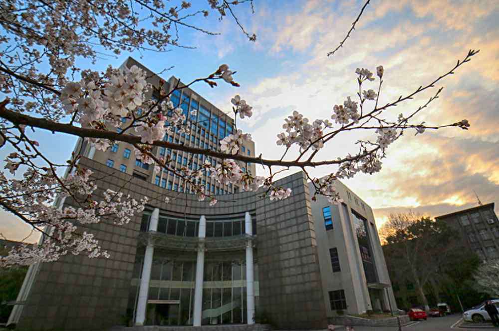 武汉理工大学排名 湖北最“遗憾”的一所211大学，有985高校的实力，却依然落选