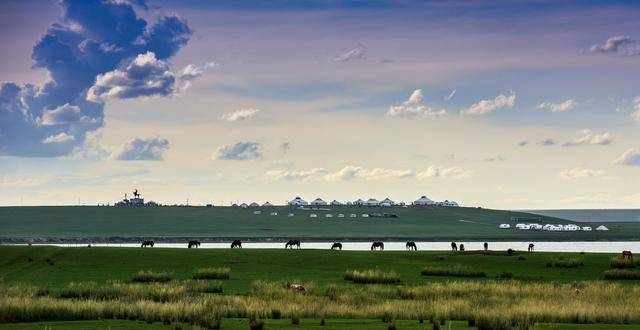 中国最大的草原，被称为牧草王国，面积堪比一个浙江省