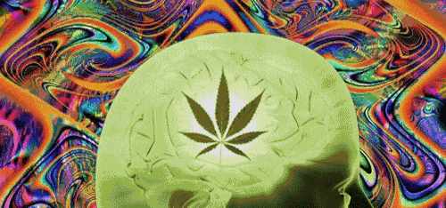 不可思议的力量：人体神秘的原始本能——意念力