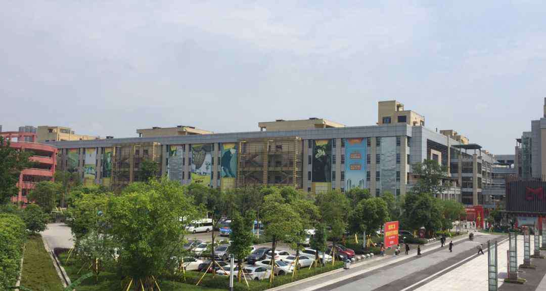 朝天门批发市场搬迁 朝天门批发市场搬到迎龙 2年之后震惊了
