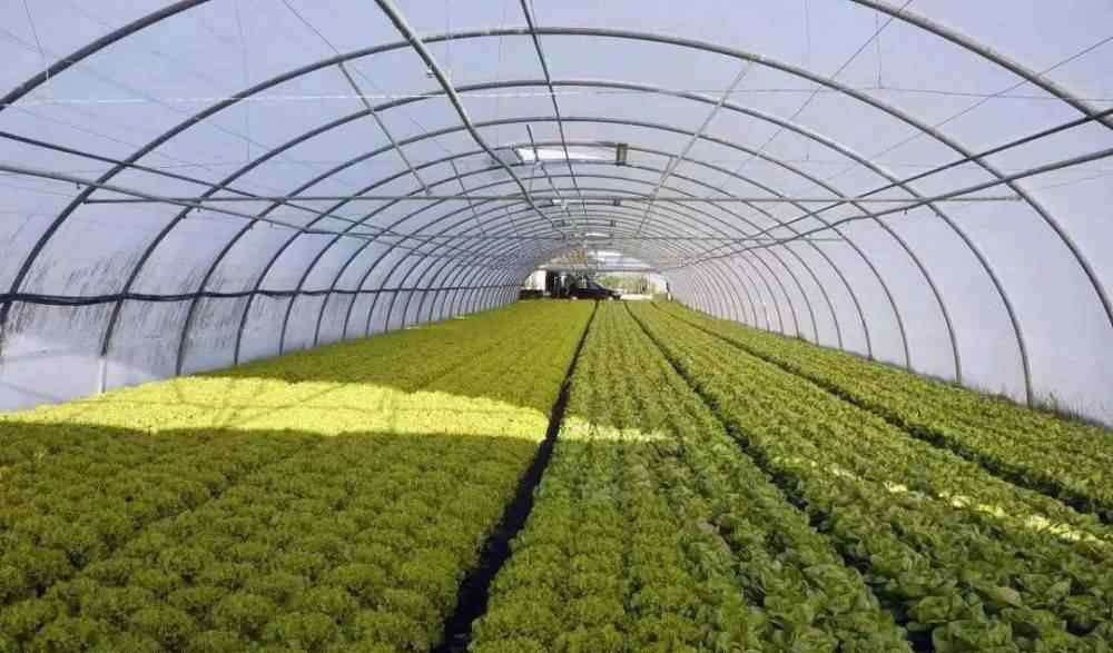 农业生产技术 4大现代农业种植模式，13种栽培方式，你用的是哪种？