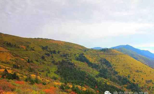 神农架旅游景点 神农架怎么玩？5分钟读懂神农架旅游攻略！