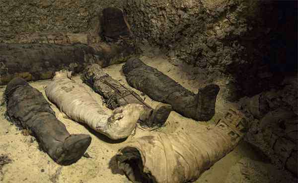 托勒密王朝 考古大发现：埃及出土近50具木乃伊，有千年历史
