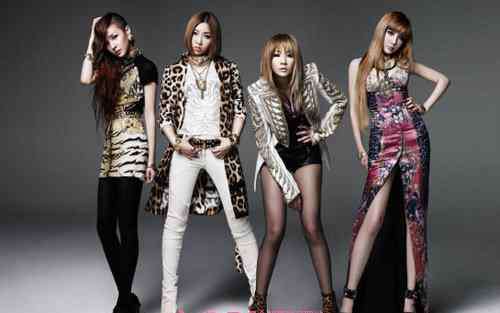 2ne1图片 2ne1组合有谁 2ne1演唱会现场图片