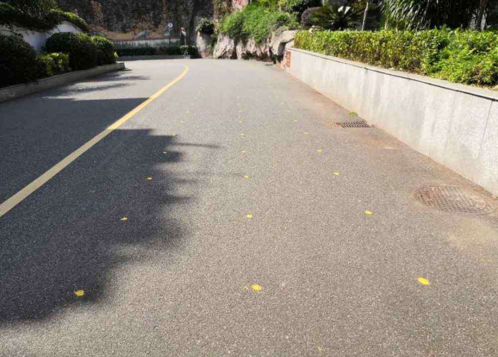 龙岩二中校长 初三即将开学，龙岩二中、龙高这样准备……
