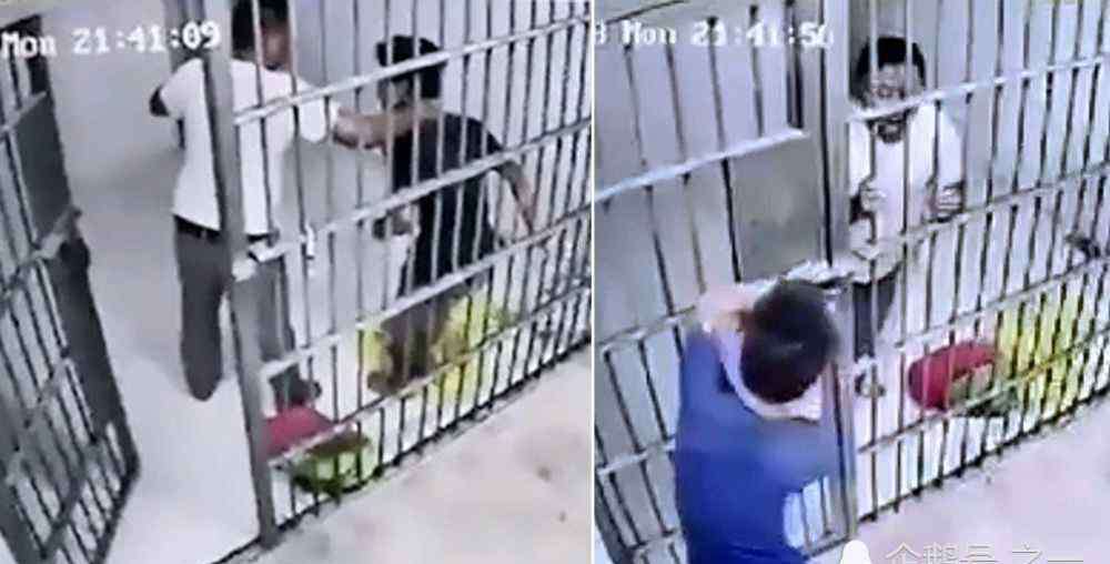 泰国囚犯越狱事件 泰国囚犯为越狱脑洞大开：大喊有蛇骗看守进牢房后锁上牢门逃走