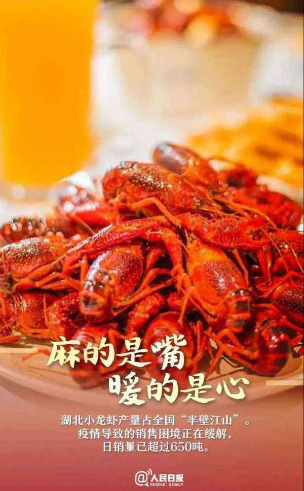 北大荒日报 《北大荒日报》携手全国39家农民报共推湖北农产品