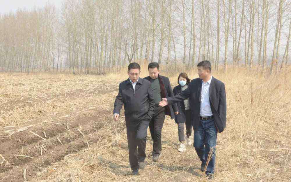 长春师范学院分院 长春师范大学去北湖，如今又有动静了！