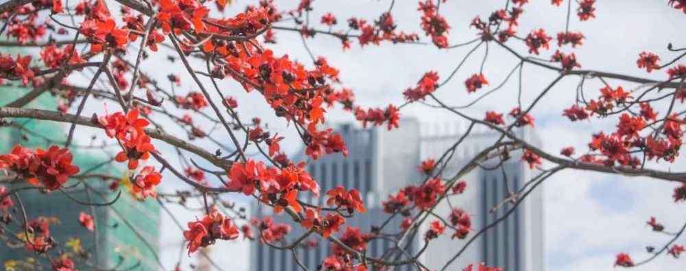 水口中学 惠州“最美校花校草”出炉！水口中学应该排第几？