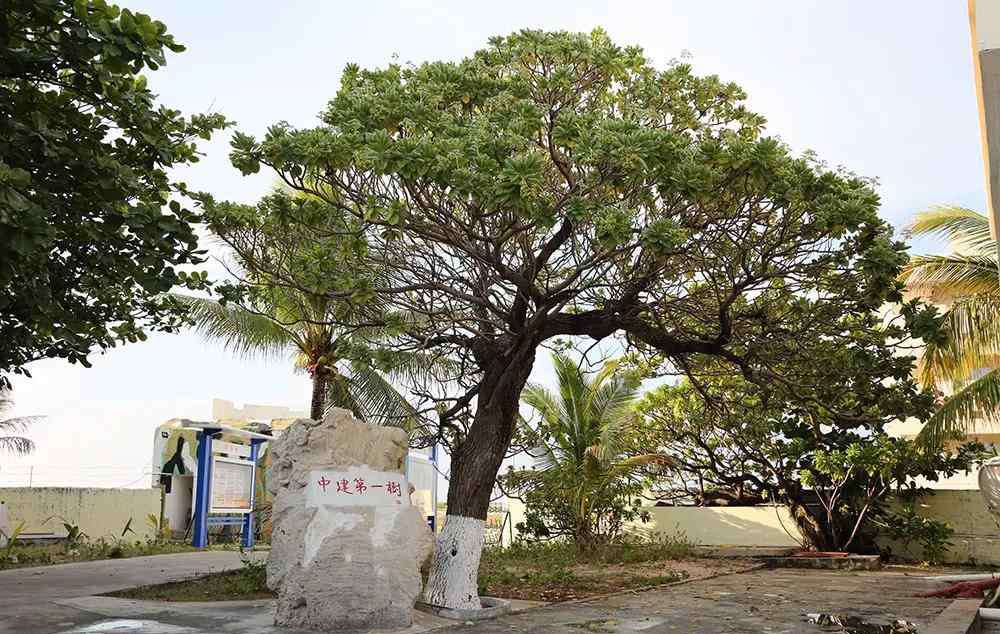 中建岛 乐守天涯：一群兵与西沙中建岛的光阴故事