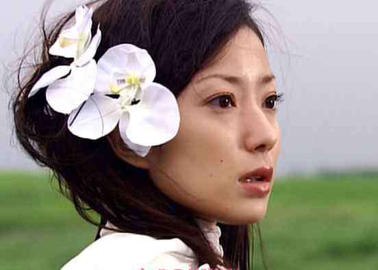 菅野美穂 菅野美穗个人资料照片 菅野美穗拍过的电视剧