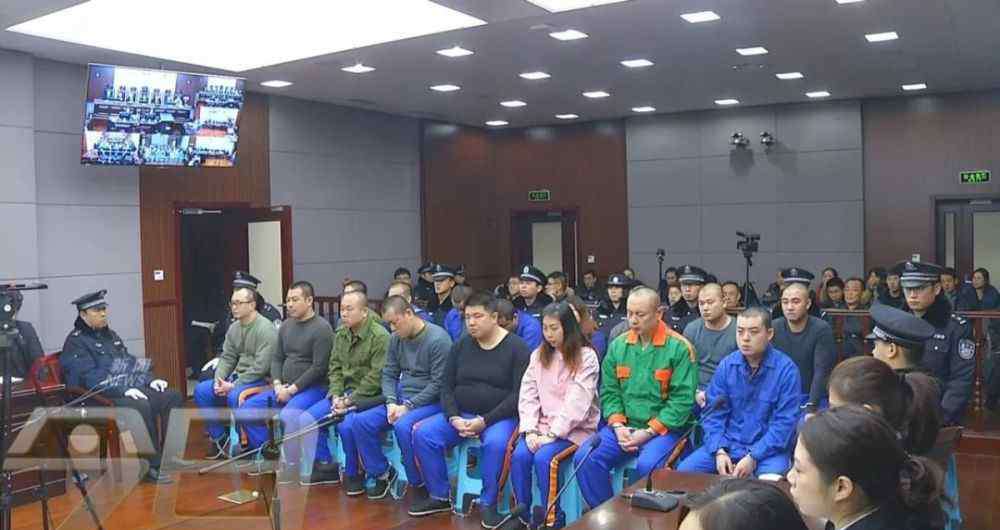 城市生活信报 用“钉钉”管理黑社会，青岛“台东瑶瑶”被判刑25年