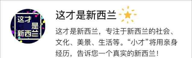 新西兰大学排名 2021世界大学排名震撼出炉！新西兰所有大学都是500强！