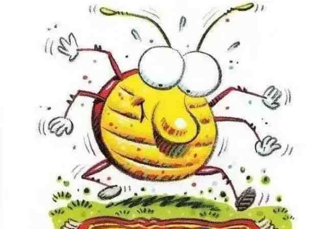 地毯英语 英语绘本故事：《Bug on a Rug》地毯上的小虫