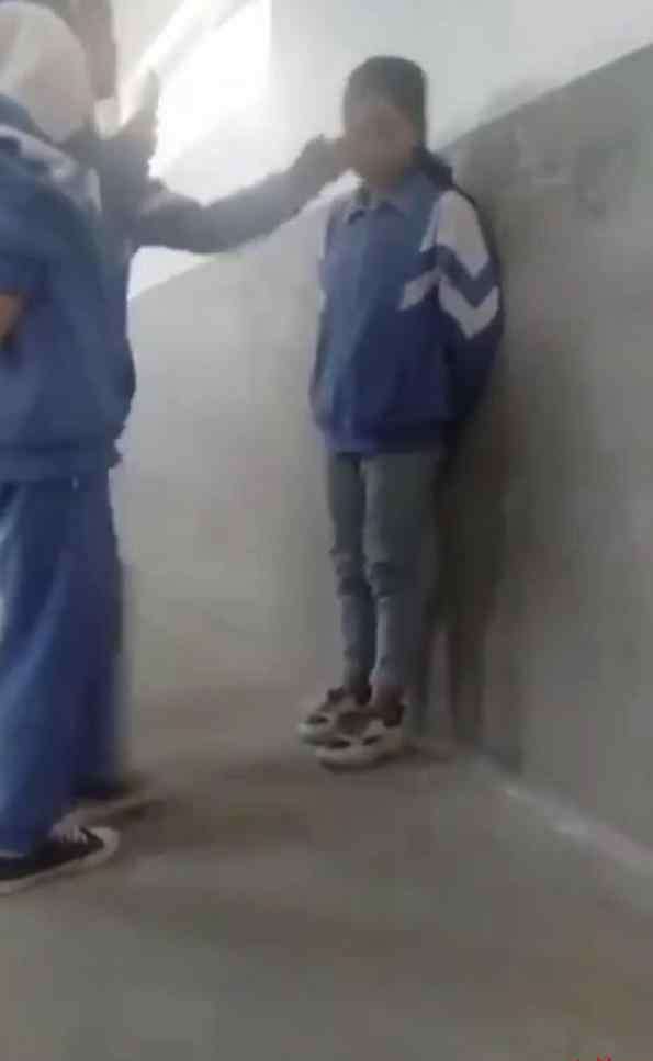 秦州教育网 甘肃天水秦州2女生遇校园欺凌 当地教育局：分管校长已停职