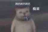 中非联姻事件 保卫华夏女孩事件始末