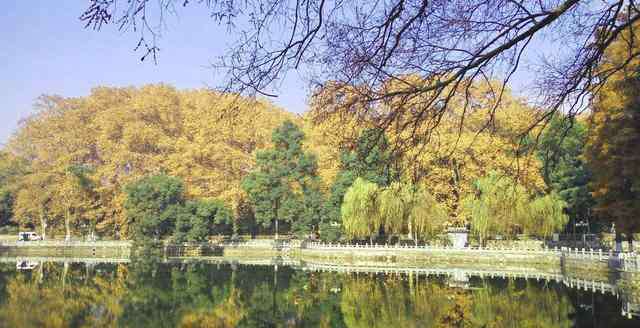 湖北武汉大学 【一起上大学】——武汉大学