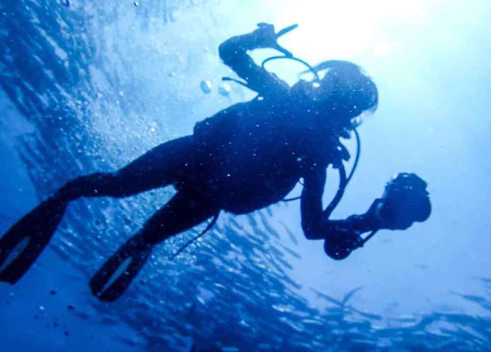 潜水证怎么考 想去学潜水？这也许是全网最全面的考证攻略