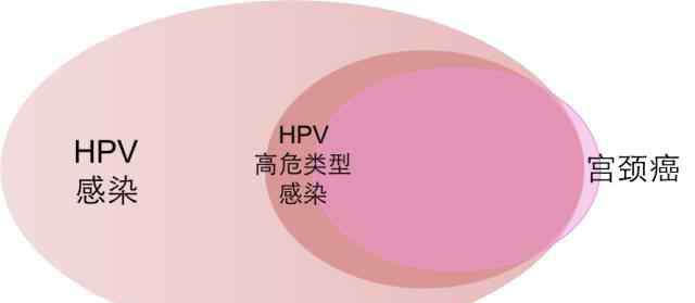 hpv3000 宫颈癌疫苗到底该不该打？每个人都该找到自己的标准答案