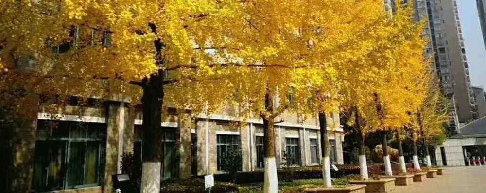 衡阳市铁一中 湖南衡阳这四所实力很强的高中，你知道有哪些吗？