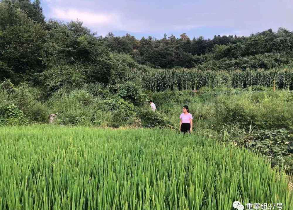 慈利三中 湖南慈利两姐妹为父追凶25年
