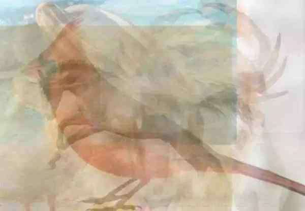 有多少个3考眼力 10张测试图，考眼力更考智商！来看看你的智商是多少？