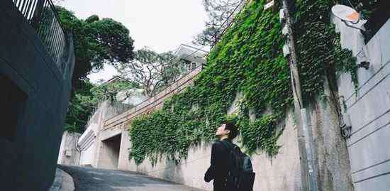 寄生虫海报 寄生虫电影海报里的腿是谁 影海报打码又是为什么