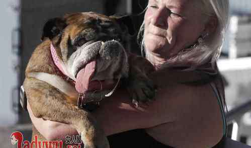 世界最丑狗狗 世界最丑狗狗夺冠 地包天长舌头却被主人宠上天