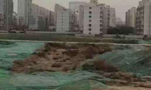 老太遭恶犬撕咬 老太遭恶犬撕咬 工地所属公司推卸责任称与他们无关