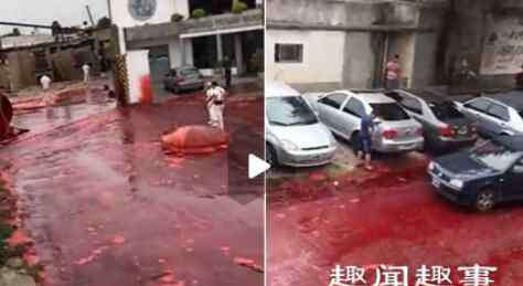 扑鼻 鲜血洒满整个街道腥臭扑鼻 真相曝光引民众担忧原因是这样太可怕了
