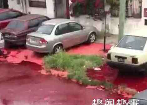 扑鼻 鲜血洒满整个街道腥臭扑鼻 真相曝光引民众担忧原因是这样太可怕了