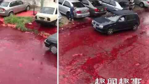 扑鼻 鲜血洒满整个街道腥臭扑鼻 真相曝光引民众担忧原因是这样太可怕了