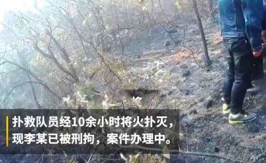 上坟抽烟致百亩山林火灾 上坟抽烟致百亩山林火灾 一根烟头引发的火灾太可怕了