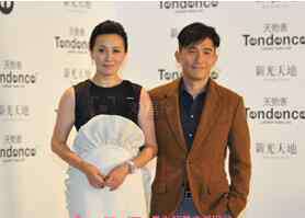 梁朝伟的老婆叫什么 梁朝伟已经和老婆刘嘉玲离婚了吗