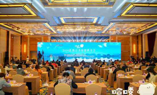 蔡艳艳 助力莲都旅游复苏 区长陈豪联手柯洁直播爆火