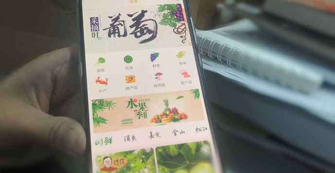 绿色食品认证查询 上海地产绿色农产品认证率将达30%，百姓查询神器已上线