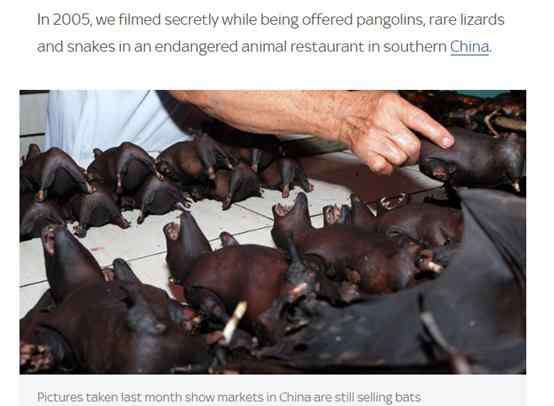 蝙蝠肉 污称“中国仍在贩卖蝙蝠肉”，这个英国媒体人能要点脸么？