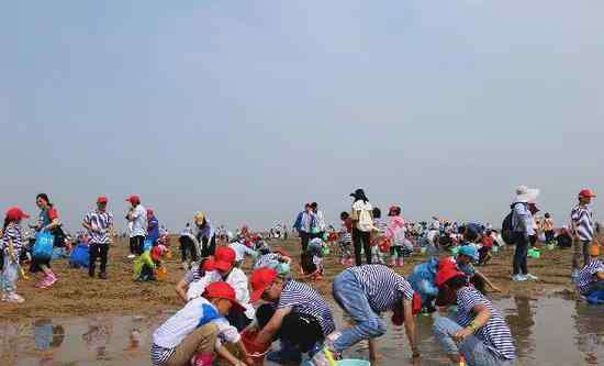 渔民码头 下棋赶海听讲座 这里有一场海滨之旅等你来