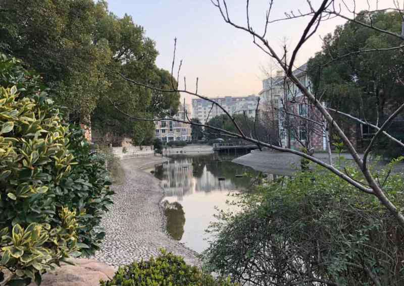 东苑半岛 上海最美小区“瘫痪”之后……
