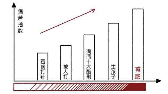 6rooms 减肥6大阶段全解读！助你轻松冲破平台期！