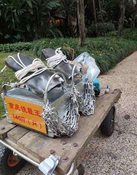 铁鞋 56岁大叔穿280斤铁鞋锻炼 11小时38分跑完百公里