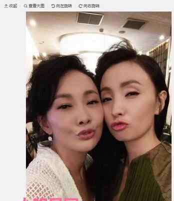 徐峥陶虹 陶虹出轨导演杨磊是什么情况