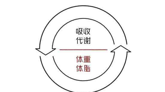 6rooms 减肥6大阶段全解读！助你轻松冲破平台期！