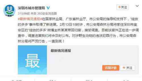 穿山甲公主 深圳穿山甲公主归案：微博晒吃穿山甲血炒饭等野味