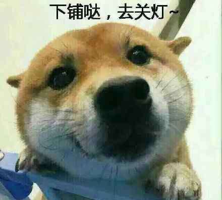 宿舍群头像 宿舍专用六人头像无水印表情包下载 搞笑头像2016最新