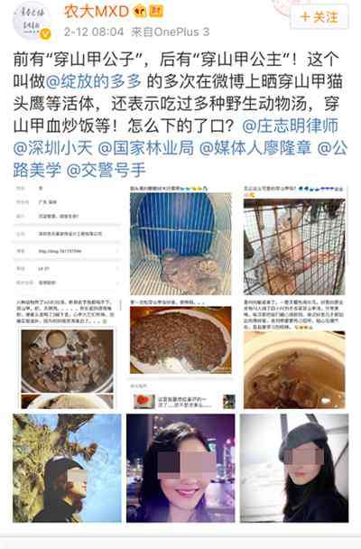 穿山甲公主 深圳穿山甲公主归案：微博晒吃穿山甲血炒饭等野味