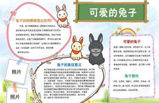 野生动物手抄报 保护野生动物手抄报图片-可爱的小兔子