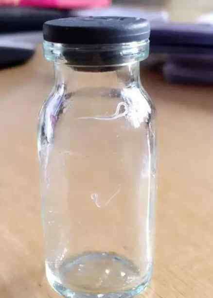 老太眼内8条活虫 老太眼内取出8条活虫 或因接触猫狗等家畜感染