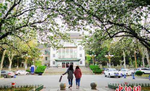 山东交通学院图书馆 高校人间四月天：山东交通学院油菜花田成网红拍照地